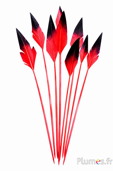 Cigno freccia - 28-33 cm - rosso-nero